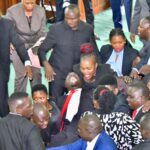 Hon. ZAAKE fighting in the parliament